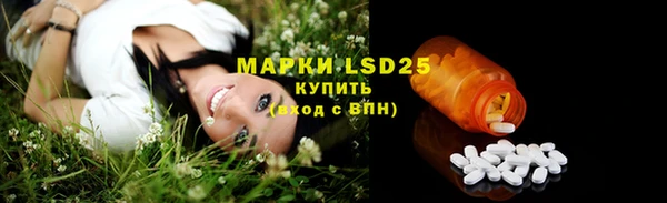 прущие грибы Дмитровск