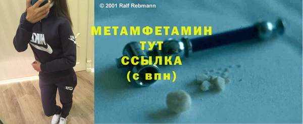 прущие грибы Дмитровск