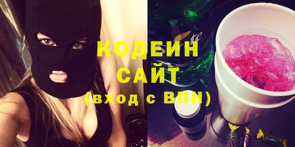 прущие грибы Дмитровск