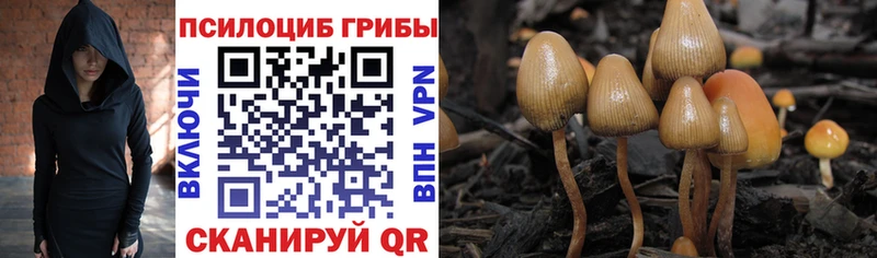 Галлюциногенные грибы мухоморы  Купить  Туймазы 